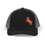 Plain Goat | Black & Charcoal Richardson 112 Hat
